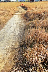 소래습지생태공원입니다