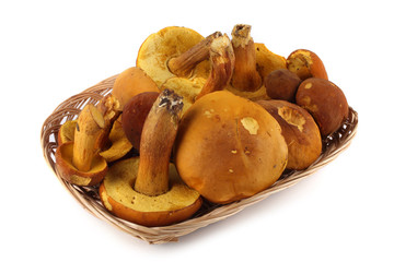 Boletus ferrugineus (Xerocomus spadiceus) mushrooms on tray. Delicacy