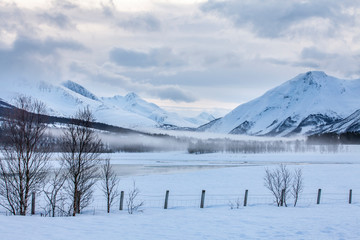 Fototapeta na wymiar icy winter landscape in the Lyngen Alps, Finnmark in northern Norway north of the polar circle