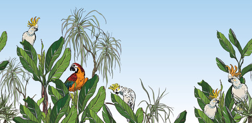 Panorama Lanscape High End, Exotic Parrots Cockatoo on Palm Trees, Exotic Plants Seamless Border, Tropics Mural Wallpaper Colorful Birds in Rainforest © Irina