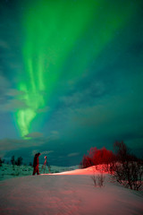 polar lights on Kvaloeya island near Tromsoe, northern Norway, landscapephotography