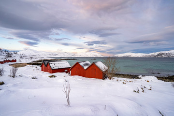 winterlandscape with dramatic sky on Kvaloeya Island near Tromsoe in northern Norway, landscape photography
