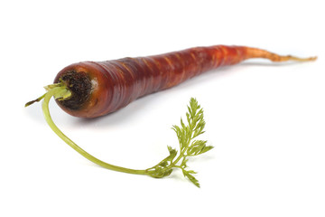 Yellow-red carrot isolated on white