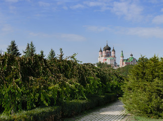 Fototapeta premium pedestrian road among the trees