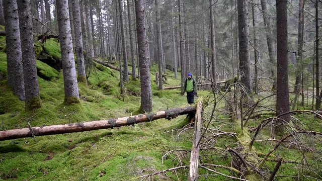 Man walking in forest with green moss. Sweden.