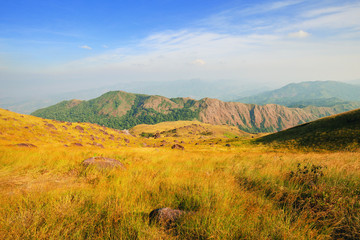 Fototapeta premium Hillside meadow In the evening