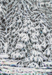 abstract image of white and gray curved lines, winter forest in the snow.