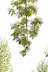 여행중찍은꽃과풍경입니다