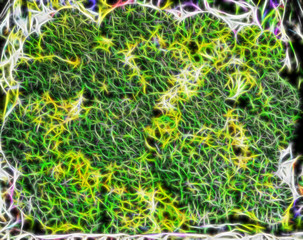 abstract image of green and yellow curved lines