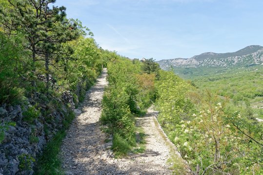 Kroatien - Crikvenica - Burgruine Badanj - Liebespfad