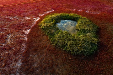 Aerial photo of tiaozi wetland, Yancheng City, Jiangsu Province, China