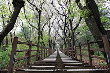 여행중찍은꽃과풍경입니다