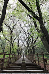 Fototapeta premium 여행중찍은꽃과풍경입니다