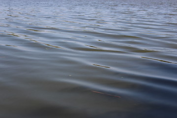 The river flows, silence is free, small waves.