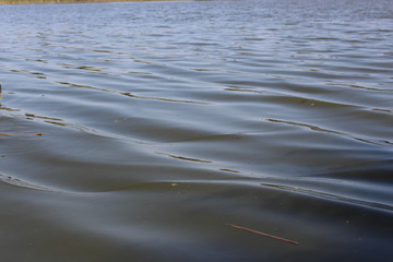 The river flows, silence is free, small waves.