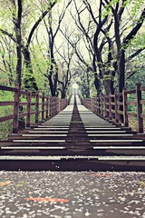 여행중찍은꽃과풍경입니다