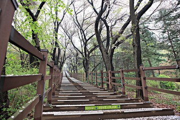 여행중찍은꽃과풍경입니다