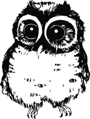 Wild owl. Graphic hand drawn illustration