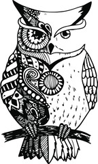 Wild owl. Graphic hand drawn illustration