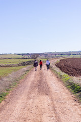 walking in the fresh grass fields of teruel