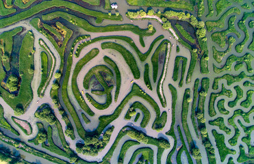 Aerial photo of reed maze in Dazhong lake, Yancheng City, Jiangsu Province, China
