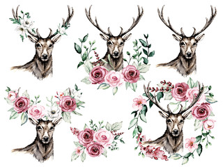 Deer head antlers, set with watercolor flowers pink roses and leaf. Sketch stag, animal illustration. Isolated on white. Hand drawing for printing design, tattoo and other.