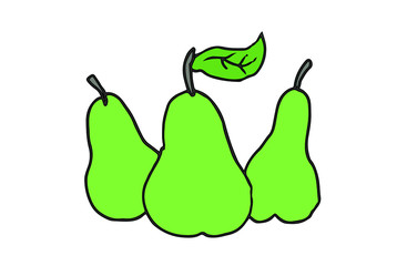 delicious green pear vector illustration. drawing.