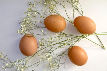 Free range eggs and gypsophila flowers on white background. Top view.