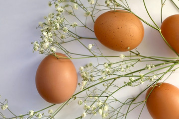 Free range eggs and gypsophila flowers on white background. Top view.