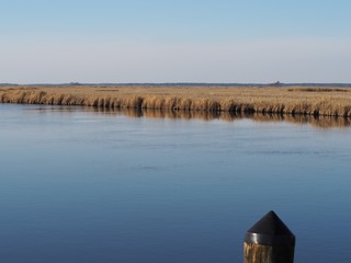 marshland grass on quiet Chesapeake Bay