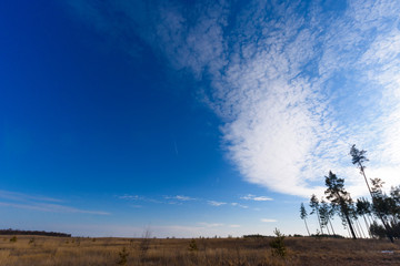 Naklejka na ściany i meble panorama of the sky over the fields in spring. blue sky with clouds. background