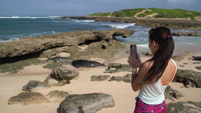Hawaii - tourist taking photos of Hawaiian monk seals on Oahu North Shore Hawaii. The Hawaiian monk seal is an endangered species with a population of only around 1500 individuals.