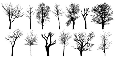 Set of autumn bare trees, silhouettes. Vector illustration. - obrazy, fototapety, plakaty