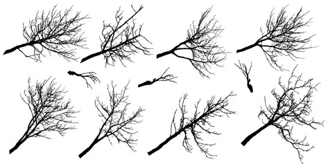 Big set of silhouettes of autumn branches of different trees. Vector illustration.
