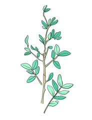 Twig with leaves sketch. Vector illustration. Ink branch.