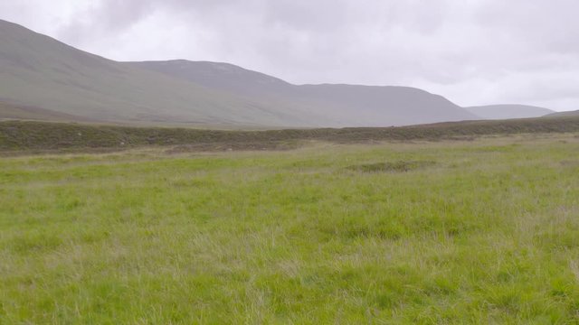 Wide low angle still shot of lush green Mooreland grass, and horizon misty Scottish mountains against the cloudy sky, Scotland, UK