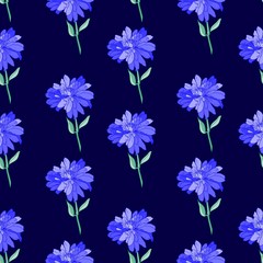 Fototapeta na wymiar Chrysanthemum flowers pattern vector. Hand drawn botanical background illustration. Floral design print for textile.