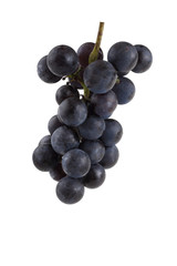 Black wine grape