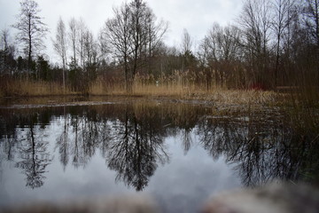 Bad Wurzacher Ried - Spiegelung im Riedsee.