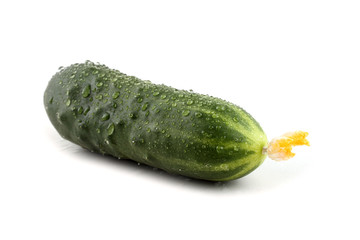 Cucumber isolated on white