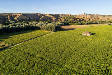 irrigated corn agriculture aerial landscape