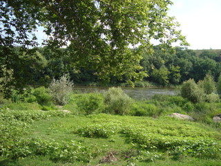 Літній став 1