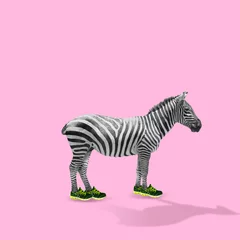 Professioneller Läufer. Zebra probiert neue Sportschuhe für den Lauf auf rosa Hintergrund an. Copyspace für Ihren Vorschlag. Modernes Design. Zeitgenössische Kunst, Collage. Konzept von Mode, Schönheit, Sport, Tier. © master1305