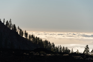 Teide national park