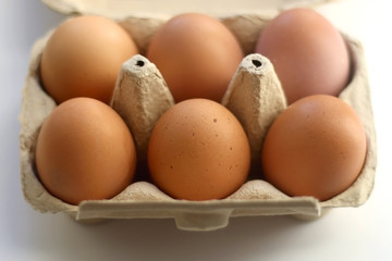 Free range eggs and gypsophila flowers on white background. Selective focus.