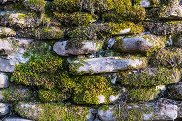 The texture of the uneven wall of flat cobblestones overgrown with moss