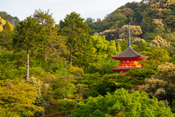 Kiyomizu-dera Temple Kyoto Japan