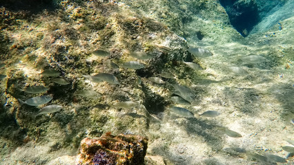 Greece Crete island South Crete Foteinari beach