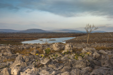 Fototapeta na wymiar The Burren