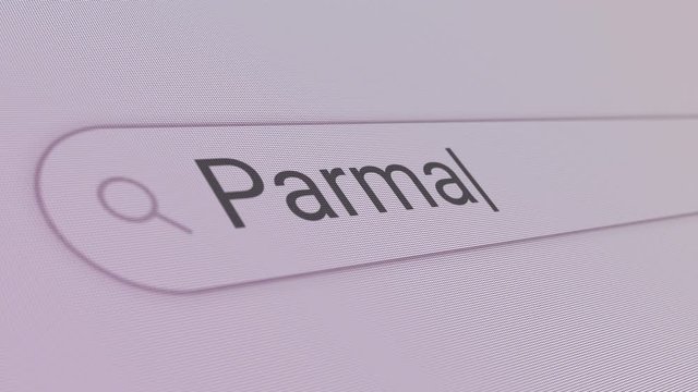 Parma Search Bar Close Up Single Line Typing Text Box Layout Web Database Browser Engine Concept